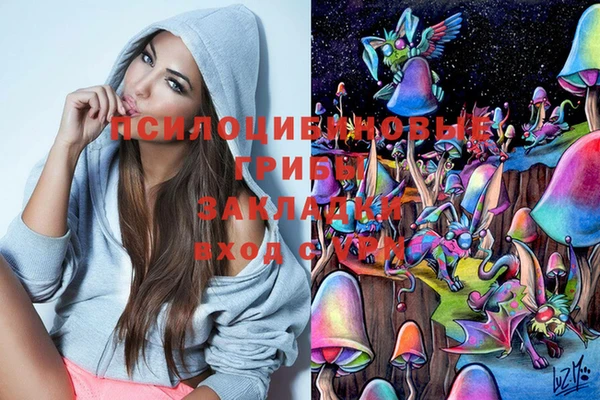 герыч Алексин