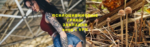 гидра Алзамай