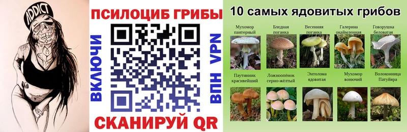 Псилоцибиновые грибы мухоморы  ОМГ ОМГ tor  Юрьев-Польский 