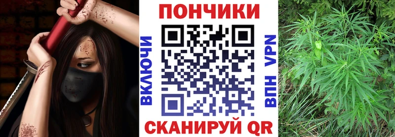 блэк спрут ссылки  Юрьев-Польский  Шишки марихуана семена 